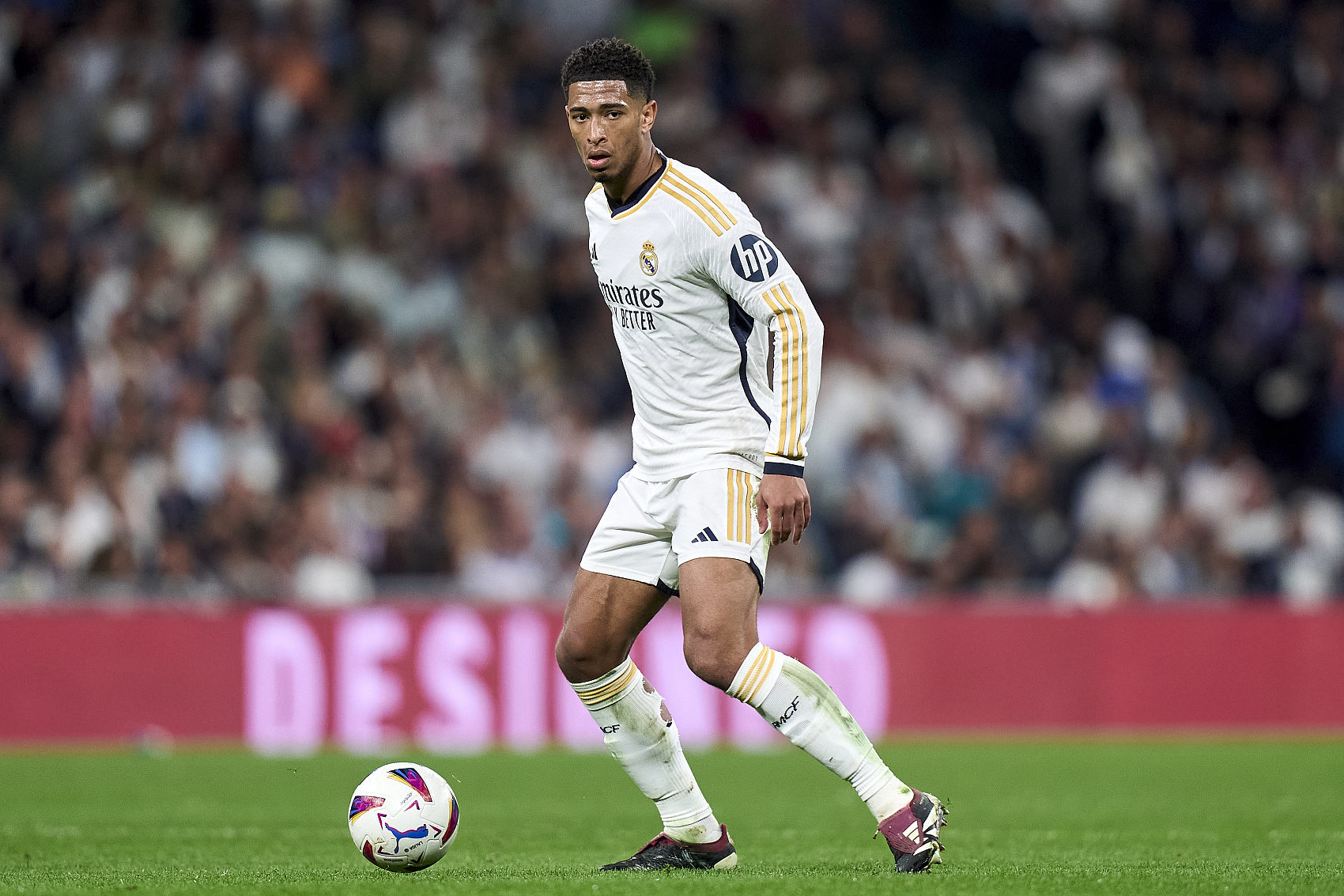 知名人士 知名人士